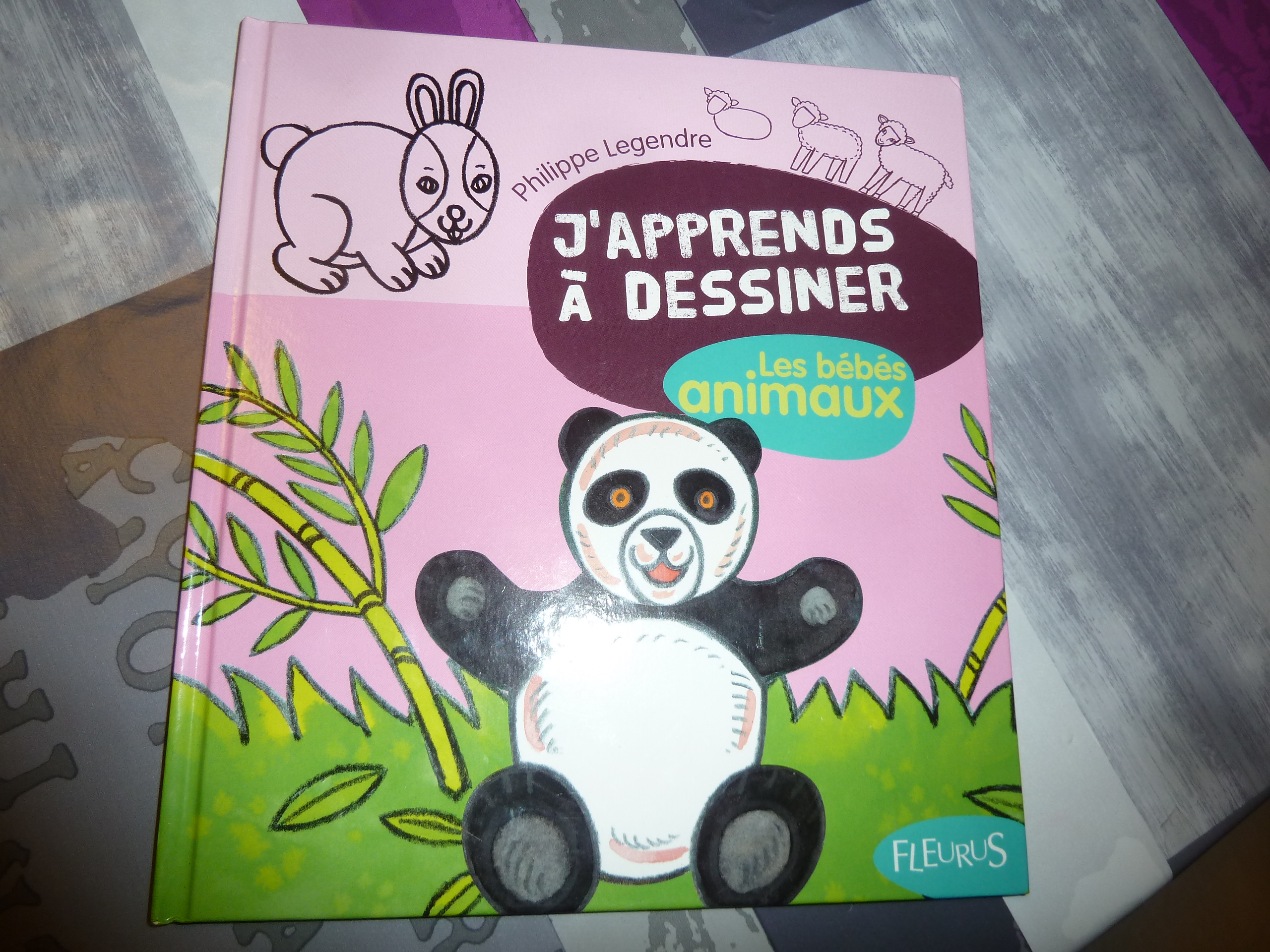 Deux livres pour apprendre à dessiner aux enfants